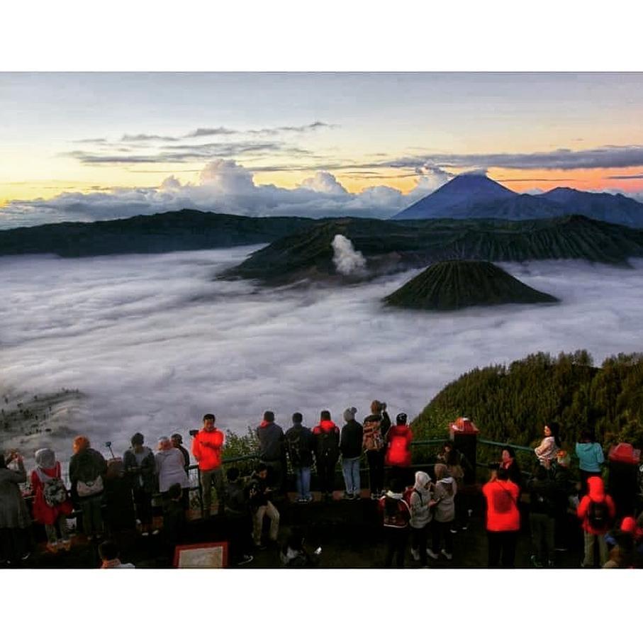 パスルアンBromo Backpacker Tosariアパートメント エクステリア 写真